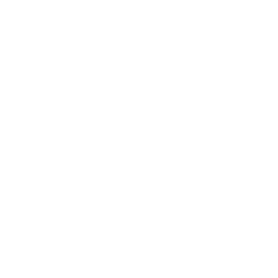 Matrix